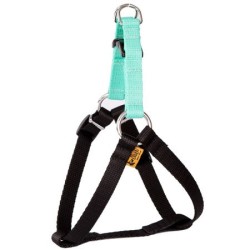 DINGO Szelki Fred Energy - miętowe Rozm. 50