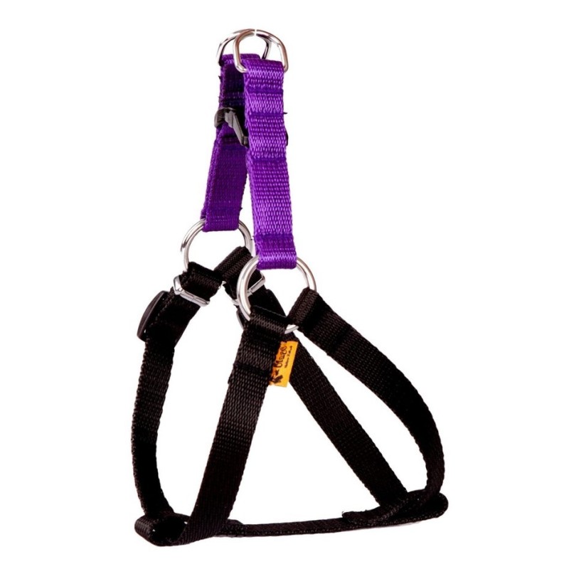 DINGO Szelki Fred Energy - fioletowe Rozm. 60