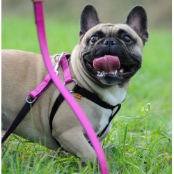 DINGO Smycz pojedyncza Energy - różowa 1,6cm x 120cm