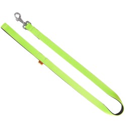 DINGO Smycz pojedyncza Energy - zielona 1,6cm x 120cm