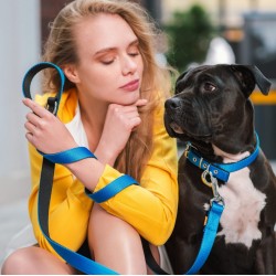 DINGO Smycz pojedyncza Energy - zielona 2cm x 120cm