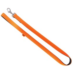 DINGO Smycz pojedyncza Energy - pomarańczowa 2,5cm x 120cm