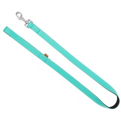 DINGO Smycz pojedyncza Extra Energy - miętowa 2,5cm x 120cm