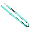 DINGO Smycz przedłużana Extra Energy - miętowa 2cm x 220cm