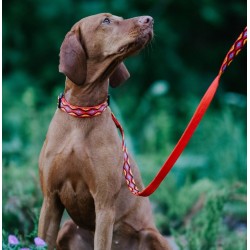 DINGO Smycz pojedyncza Winnetou - czarna 2cm x 130cm