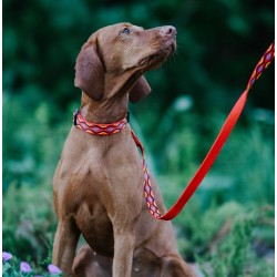 DINGO Smycz pojedyncza Winnetou - czerwona 2,5 x 120 cm 