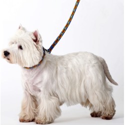 DINGO Smycz pojedyncza Winnetou - niebieska 2,5cm x 120cm