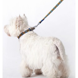 DINGO Smycz pojedyncza Winnetou - niebieska 2,5cm x 120cm