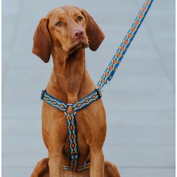 DINGO Smycz przedłużana Winnetou - czerwona 2cm x 120-220cm