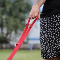 DINGO Smycz skórzana (przedłużana nitowana) - natura 1,8cm x 110-200cm