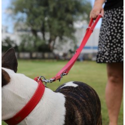DINGO Smycz skórzana (przedłużana nitowana) - czarna 1,8cm x 110-200cm