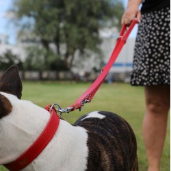 DINGO Smycz skórzana (przedłużana szyta) z wymiennym karabińczykiem - czarna 2,5cm x 200cm