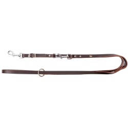 DINGO Smycz skórzana (przedłużana nitowana) z wymiennym karabińczykiem - brąz 1 x 200 cm