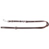 DINGO Smycz skórzana (przedłużana nitowana) z wymiennym karabińczykiem - brąz 2cm x 200cm