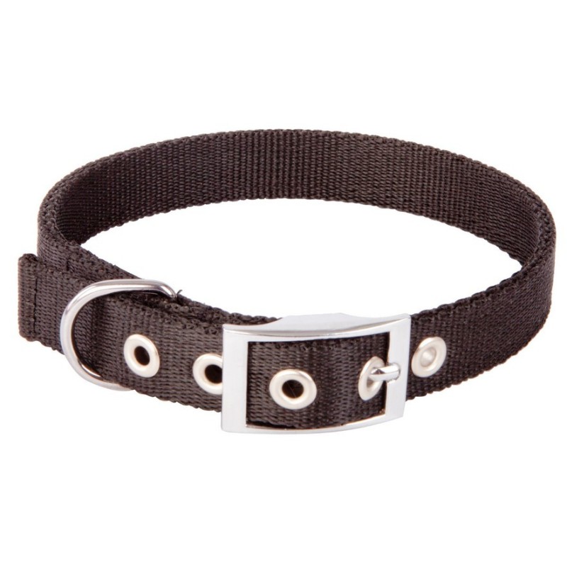 DINGO Obroża Extra z taśmy - czarna 2,5cm x 60cm (40-52cm)