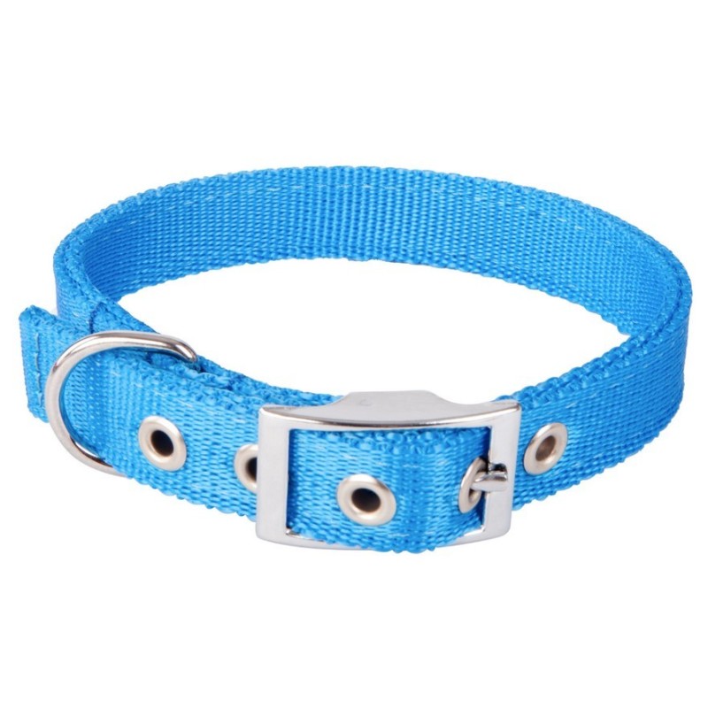 DINGO Obroża Extra z taśmy - niebieska 2,0cm x 50cm (33-41cm)