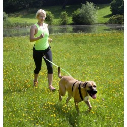 DINGO Smycz do biegania z amortyzatorem - zielona