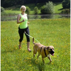 DINGO Smycz do biegania z amortyzatorem - czarna