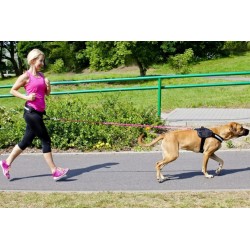 DINGO Smycz do biegania z amortyzatorem - czarna