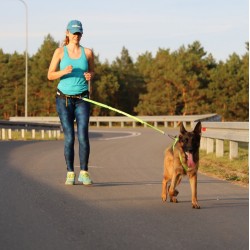 DINGO Smycz do biegania z amortyzatorem i dwoma karabińczykami - różowa