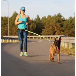 DINGO Smycz do biegania z amortyzatorem i dwoma karabińczykami - zielona