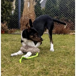 DINGO Gryzak dla psa - sztuczne futro na bungee