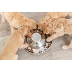 TRIXIE Miska metalowa dla szczeniąt 4,0l (⌀38cm)