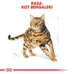 ROYAL CANIN Bengal Adult karma sucha dla kotów dorosłych rasy bengal 400g