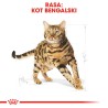 ROYAL CANIN Bengal Adult karma sucha dla kotów dorosłych rasy bengal 10 kg