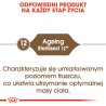 ROYAL CANIN Ageing Sterilised 12+ karma sucha dla kotów dojrzałych, sterylizowanych 2kg