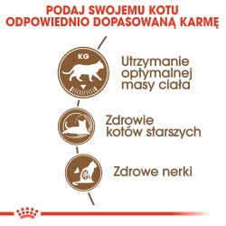 ROYAL CANIN Ageing Sterilised 12+ karma sucha dla kotów dojrzałych, sterylizowanych 400g