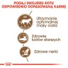 ROYAL CANIN Ageing Sterilised 12+ karma sucha dla kotów dojrzałych, sterylizowanych 400g