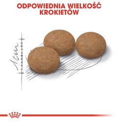 ROYAL CANIN Ageing Sterilised 12+ karma sucha dla kotów dojrzałych, sterylizowanych 400g