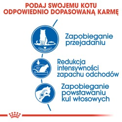 ROYAL CANIN Indoor Appetite Control karma sucha dla kotów dorosłych, przebywających wyłącznie w domu, domagających się jedzenia 