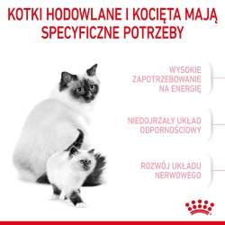 ROYAL CANIN Mother & Babycat karma sucha dla kotek w okresie ciąży, laktacji i kociąt od 1 do 4 miesiąca życia 400g