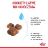 ROYAL CANIN Mother & Babycat karma sucha dla kotek w okresie ciąży, laktacji i kociąt od 1 do 4 miesiąca życia 4 kg