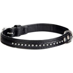 DINGO Obroża Glamour - czarna 16mm x 41cm