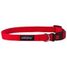AMIPLAY Obroża regulowana z blokadą Basic - Czerwona XL (45-70 x 2,5cm)