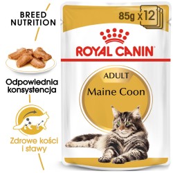 ROYAL CANIN Maine Coon karma mokra w sosie dla kotów dorosłych rasy maine coon 85g