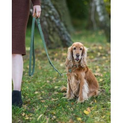 AMIPLAY Smycz regulowana 6 in 1 Cotton - Khaki M