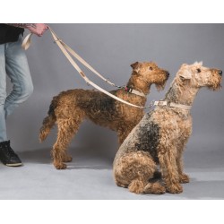 AMIPLAY Smycz regulowana 6 in 1 Cotton - Pomarańczowa M