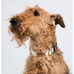 AMIPLAY Obroża regulowana z blokadą Cotton - Granatowa M (35-50 x 2cm)