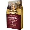 CARNILOVE CAT Grain-Free Lamb and Wild Boar Sterilised - Jagnięcina i dzik 2 kg