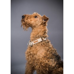 AMIPLAY Obroża półzaciskowa Cotton - Beżowa L (32-50 cm x 2,5 cm)