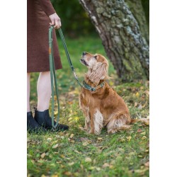 AMIPLAY Obroża półzaciskowa Cotton - Khaki L (32-50 cm x 2,5 cm)