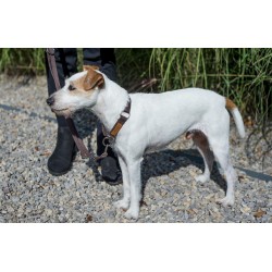 AMIPLAY Obroża półzaciskowa Cotton - Brązowa M (26-40 cm x 2 cm)