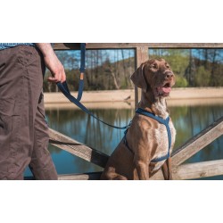 AMIPLAY Szelki regulowane Cotton - Czarne S