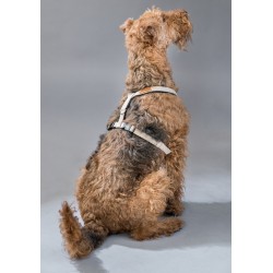 AMIPLAY Szelki regulowane Cotton - Beżowe S