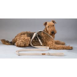 AMIPLAY Szelki regulowane Cotton - Beżowe M