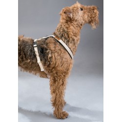 AMIPLAY Szelki regulowane Cotton - Beżowe L